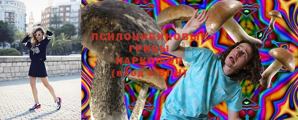 2c-b Протвино