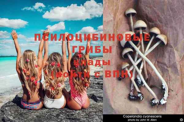 кокаин VHQ Беломорск