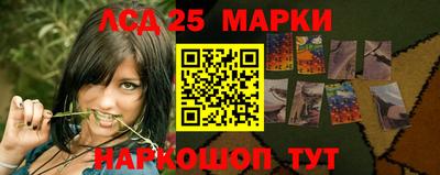 крисы Новоалександровск