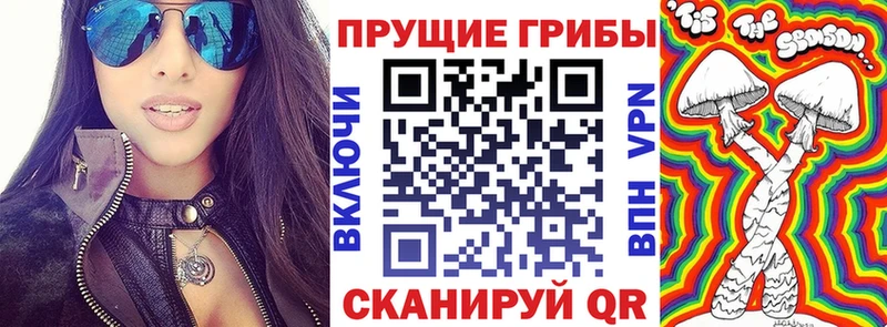 Псилоцибиновые грибы Psilocybe  дарнет шоп  Реутов 