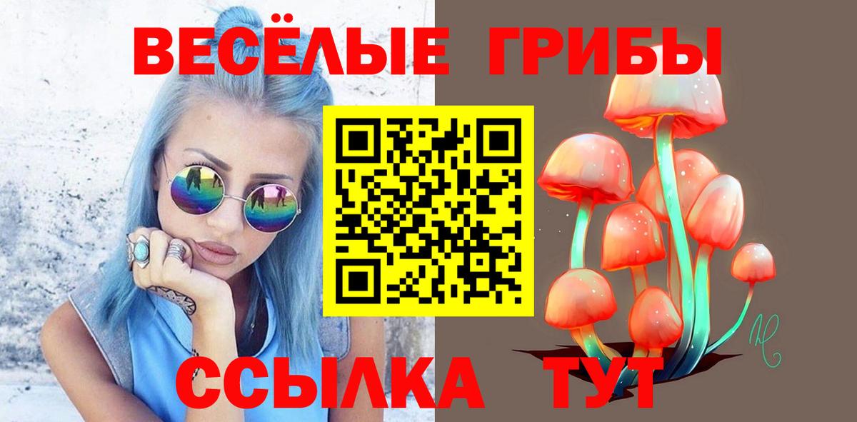 Псилоцибиновые грибы GOLDEN TEACHER Реутов