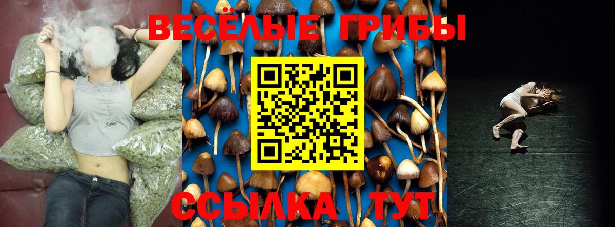Псилоцибиновые грибы Magic Shrooms  Вход с VPN  Реутов 
